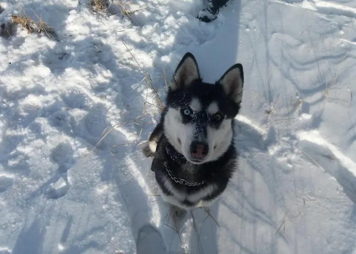 Appartement Nikol Prievidza